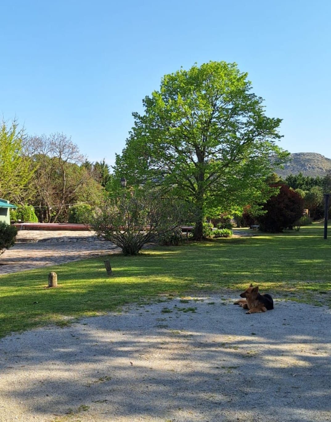 Parque arbolado de La Quinta al pie de la sierra de Balcarce